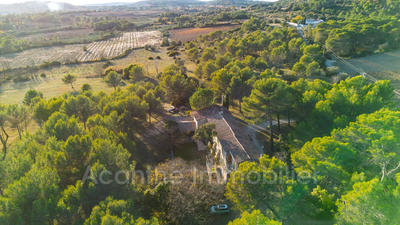 Mas - 298 m² - 8 pièces