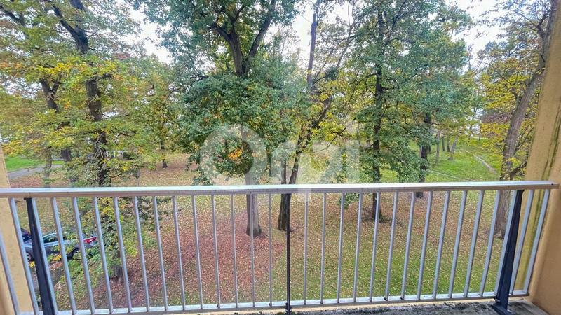 Appartement - 55 m² - 2 pièces