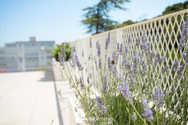 Appartement - 140 m² - 5 pièces