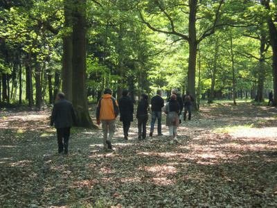 Balade « Entre chien et loup »