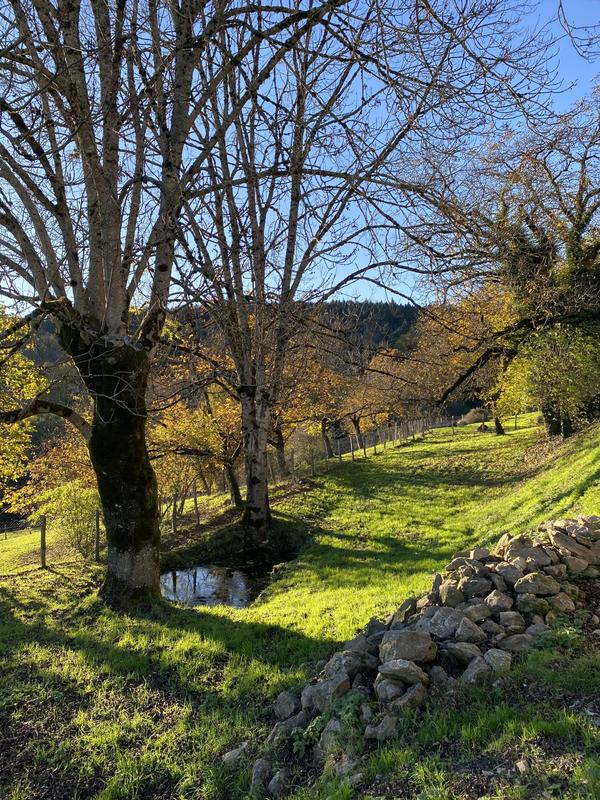 Maison ancienne - 300 m² - 7 pièces