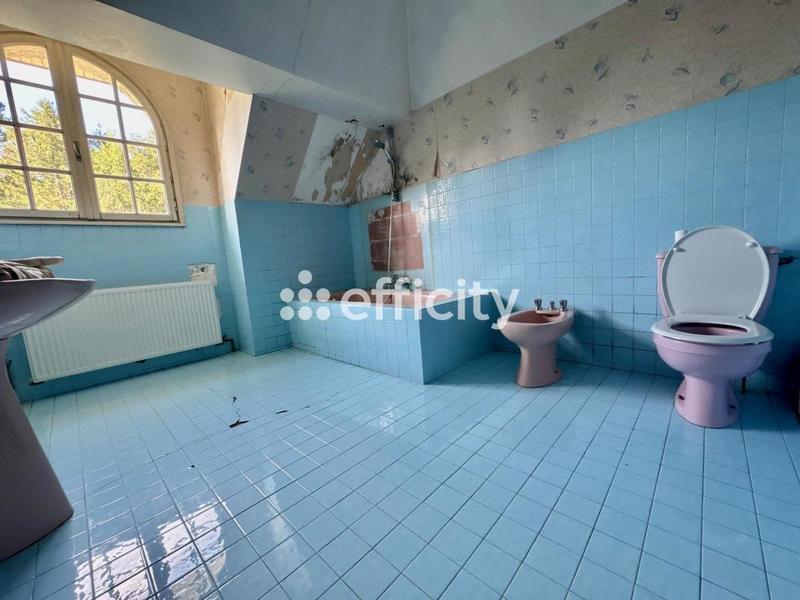 Demeure - 342 m² - 8 pièces