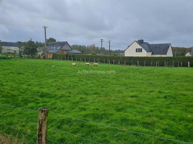 Maison - 76 m² - 4 pièces