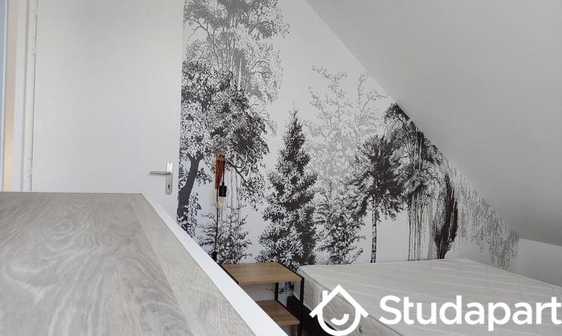 Appartement - 34 m² - 2 pièces