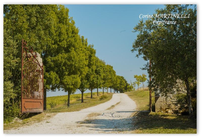 Propriété - 885 m² - 22 pièces