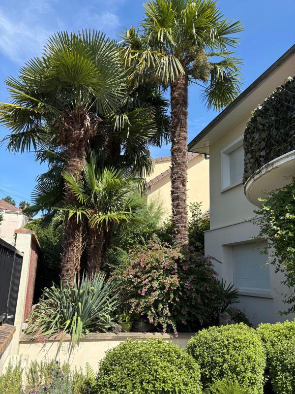 Maison - 238 m² - 11 pièces