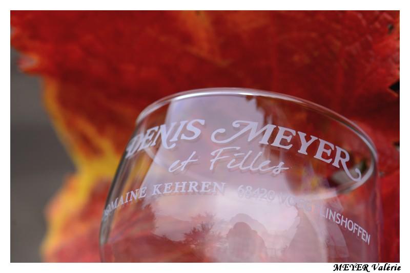 Portes ouvertes au Domaine Denis Meyer et Filles