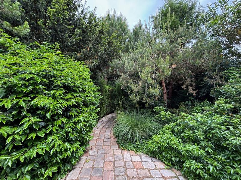 Maison ancienne - 546 m² - 23 pièces