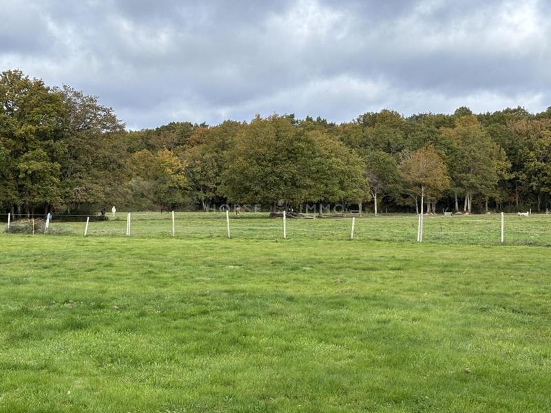 Maison de domaine équestre - 110 m² - 6 pièces