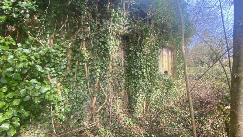 Terrain constructible - 2 674 m²