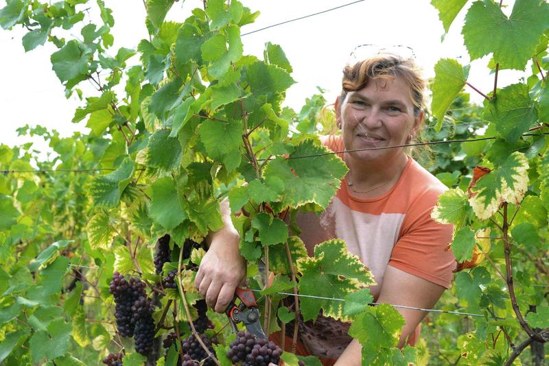 Osez le vin au féminin au Domaine Gueth