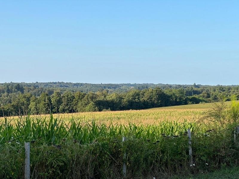 Corps de ferme - 1 600 m² - 1 pièce