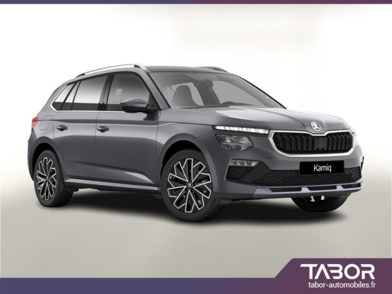 Skoda Kamiq Dsg Dynamic Pano Acc SideA Cam