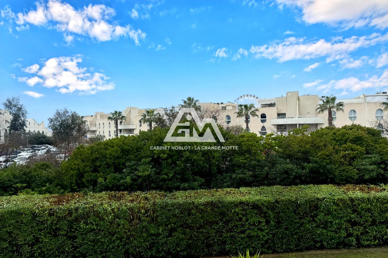 Appartement - 31 m² - 2 pièces