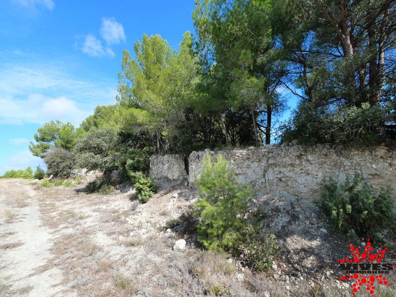 Terrain de loisirs - 23 990 m²