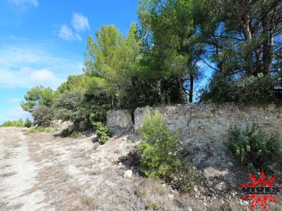 Terrain de loisirs - 23 990 m²