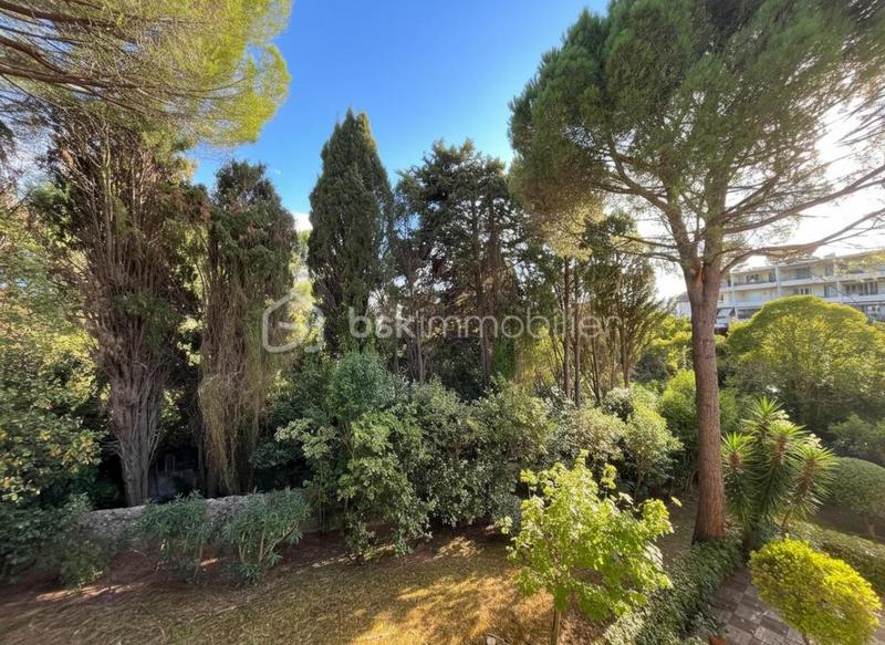 Studio - 32 m² - 1 pièce