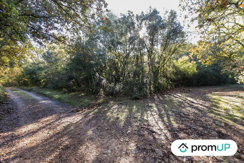 Terrain agricole - 9 625 m²