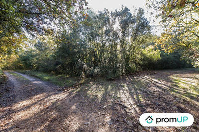 Terrain agricole - 9 625 m²