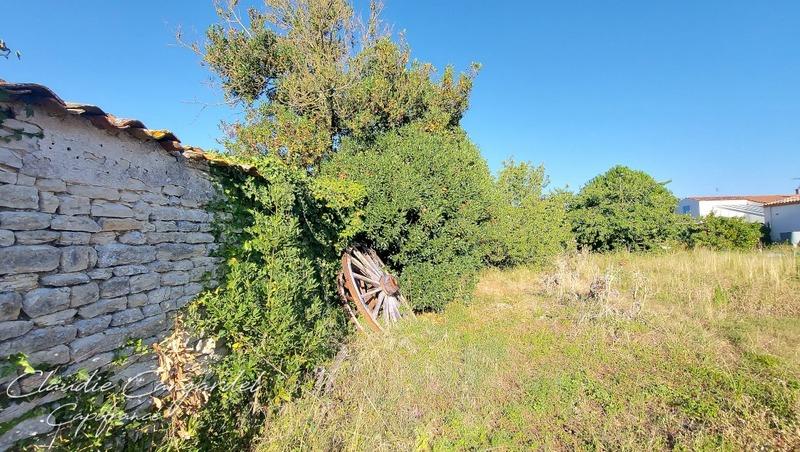 Terrain constructible - 1 073 m²