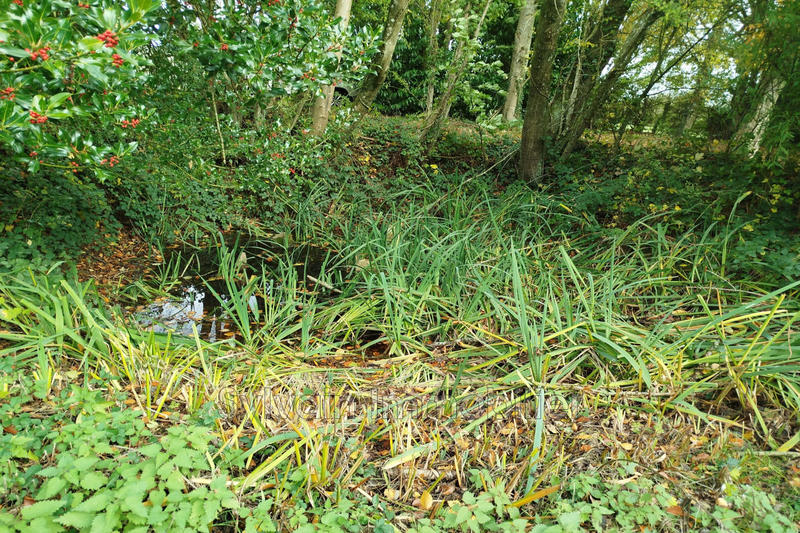 Maison - 114 m² - 4 pièces