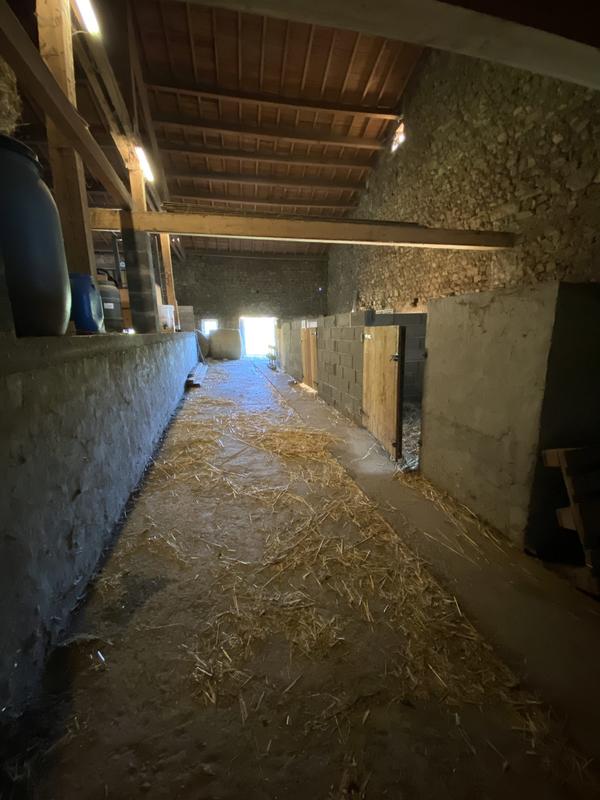 Maison ancienne - 300 m² - 7 pièces