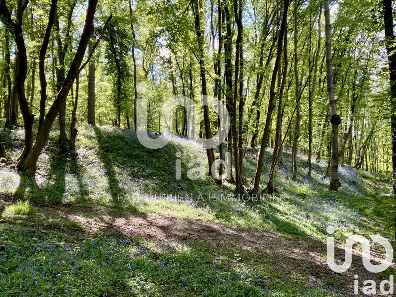 Maison de campagne - 224 m² - 10 pièces