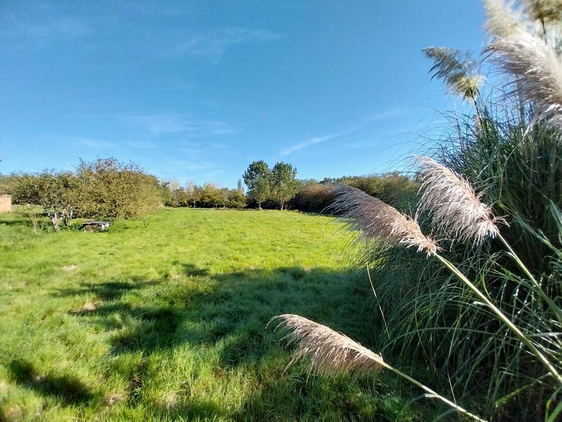 Maison - 117 m² - 6 pièces