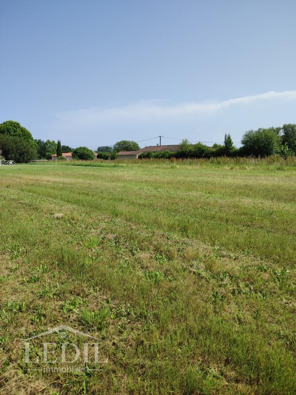 Terrain - 1 323 m²