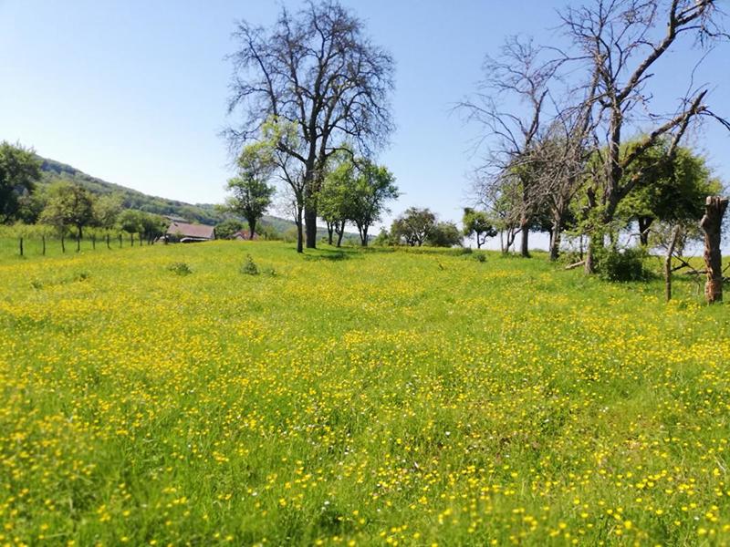 Maison de village - 165 m² - 6 pièces