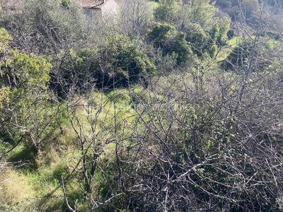 Terrain de loisirs - 283 m²