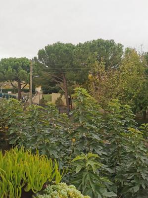 Appartement - 77 m² - 4 pièces