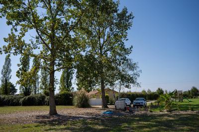 Maison - 137 m² - 5 pièces