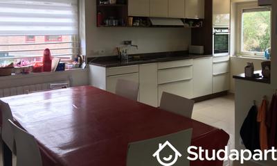 Chambre - 20 m² - 1 pièce