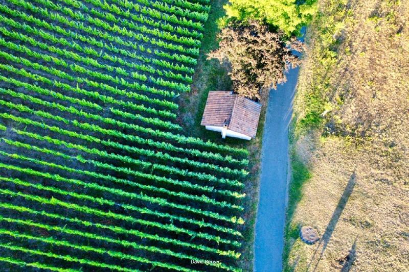 Promenades photographiques du Rangen – Édition Amateurs 2025-2026