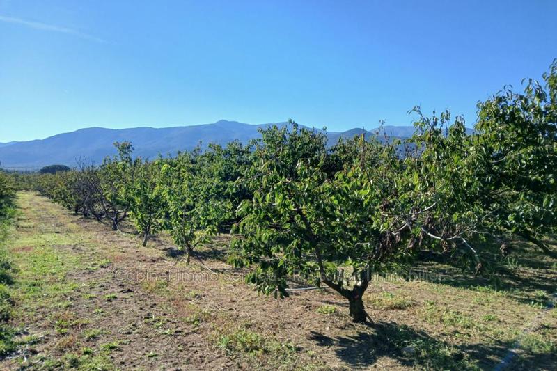 Terrain agricole - 7 121 m²