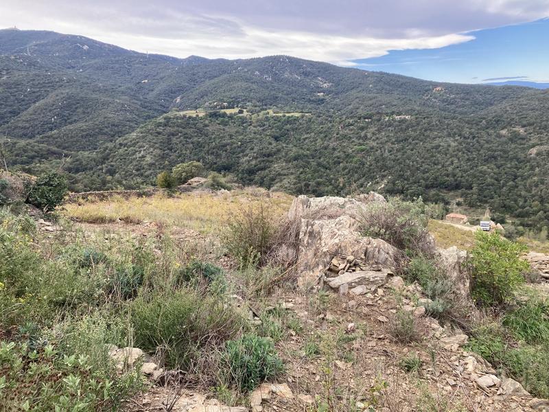 Terrain agricole - 10 846 m²