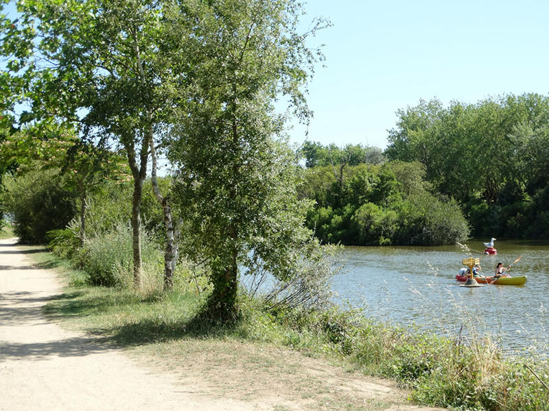 Appartement - 29 m² - 1 pièce