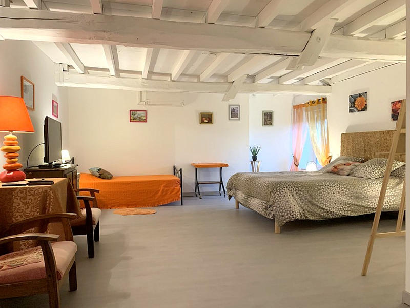 Maison - 455 m² - 10 pièces