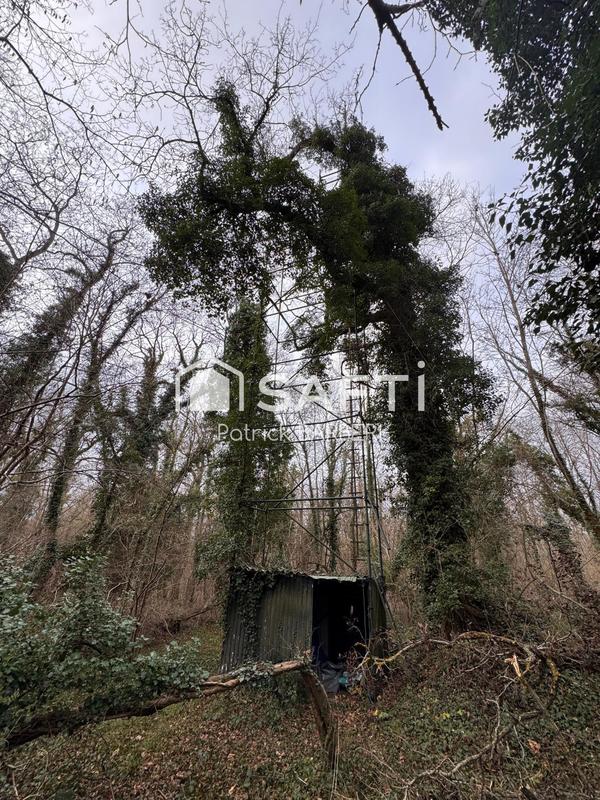 Terrain - 58 000 m²