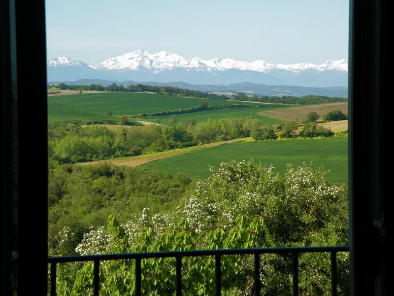 Propriété - 900 m² - 26 pièces