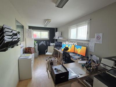 Local d'activité / Entrepôt - 493 m²