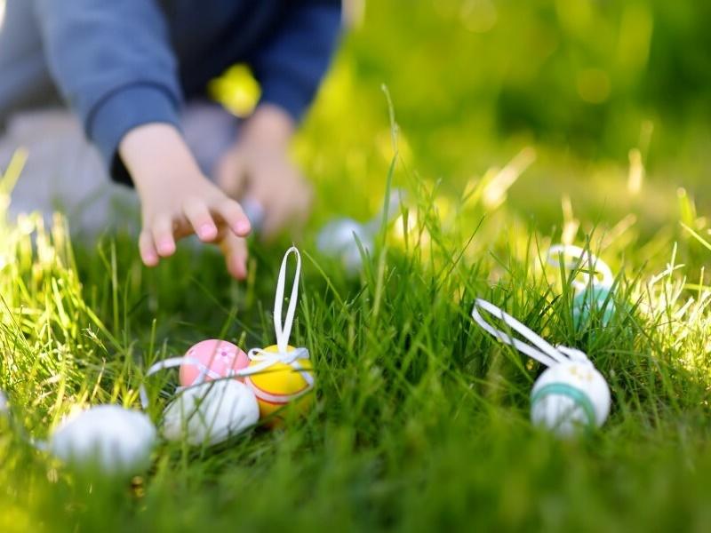 Chasse aux œufs
