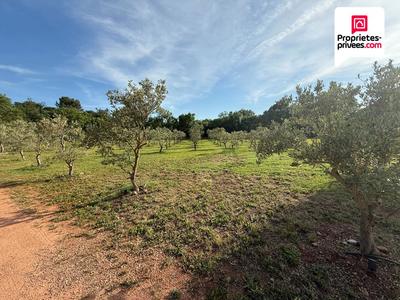 Maison - 148 m² - 5 pièces