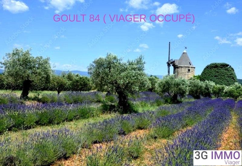 Viager - Maison - 145 m² - 4 pièces