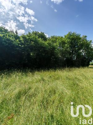 Terrain - 31 982 m²