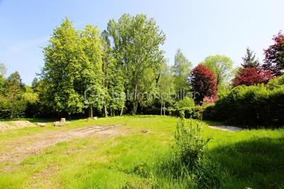 Terrain constructible - 1 921 m²