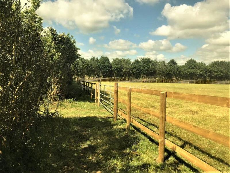 Haras - 300 m² - 8 pièces