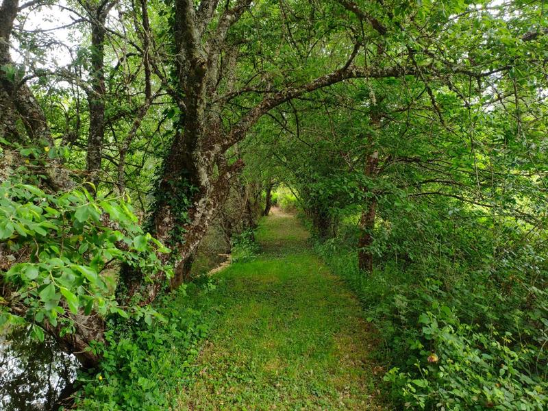 Terrain - 14 125 m²