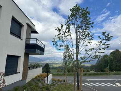 Appartement - 82 m² - 4 pièces